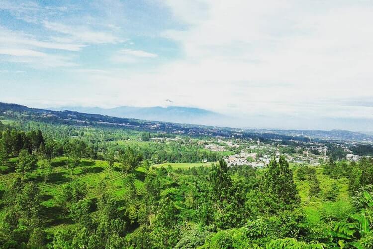 5 Tempat Wisata Alam di Puncak Bogor yang Asik untuk Liburan