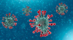 definisi dan pengertian apa itu virus corona covid-19 beserta gejala dan cara mencegahnya