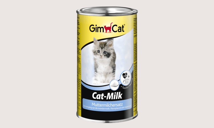 susu kucing terbaik