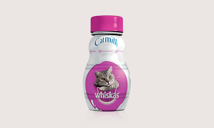 susu kucing terbaik