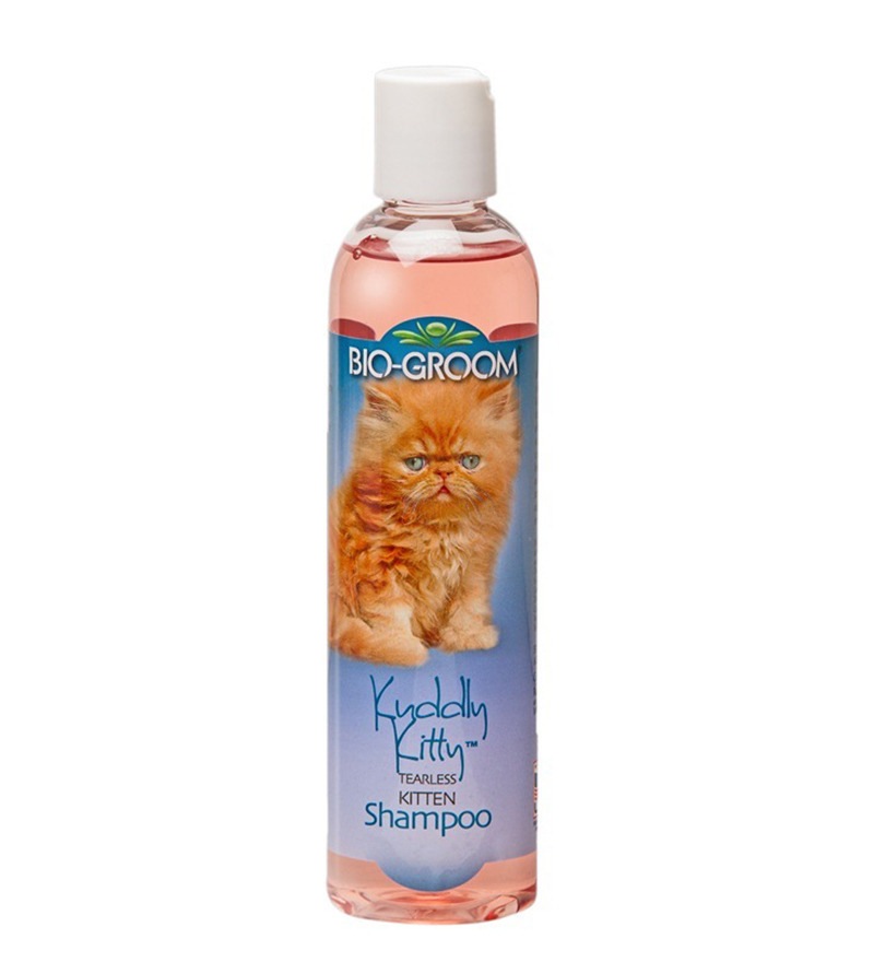 shampo kucing terbaik