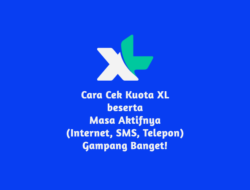 4+ Cara Cek Kuota XL & Masa Aktifnya Terbaru 2021 (Internet, Telepon, SMS)