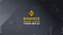 pengertian apa itu binance smart chain bsc dan token bep-20