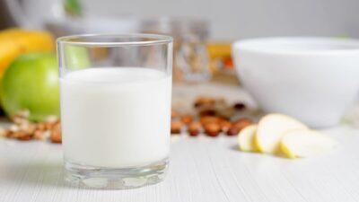 resep enak dengan susu penambah berat badan